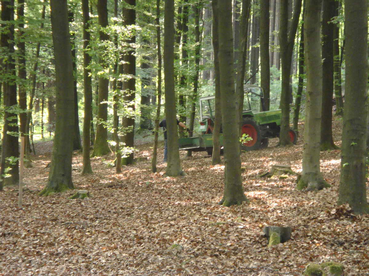 2011-05-07 KPF Wald 03.jpg